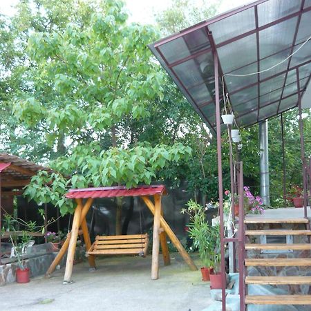 霍雷祖 Casa Daniela酒店 外观 照片